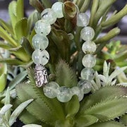 Prehnite Healing Bracelet
